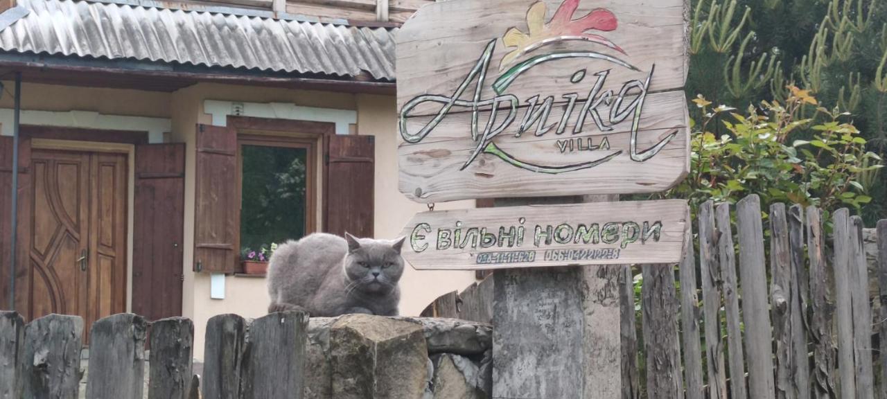 Arnika Tatariv Otel Dış mekan fotoğraf